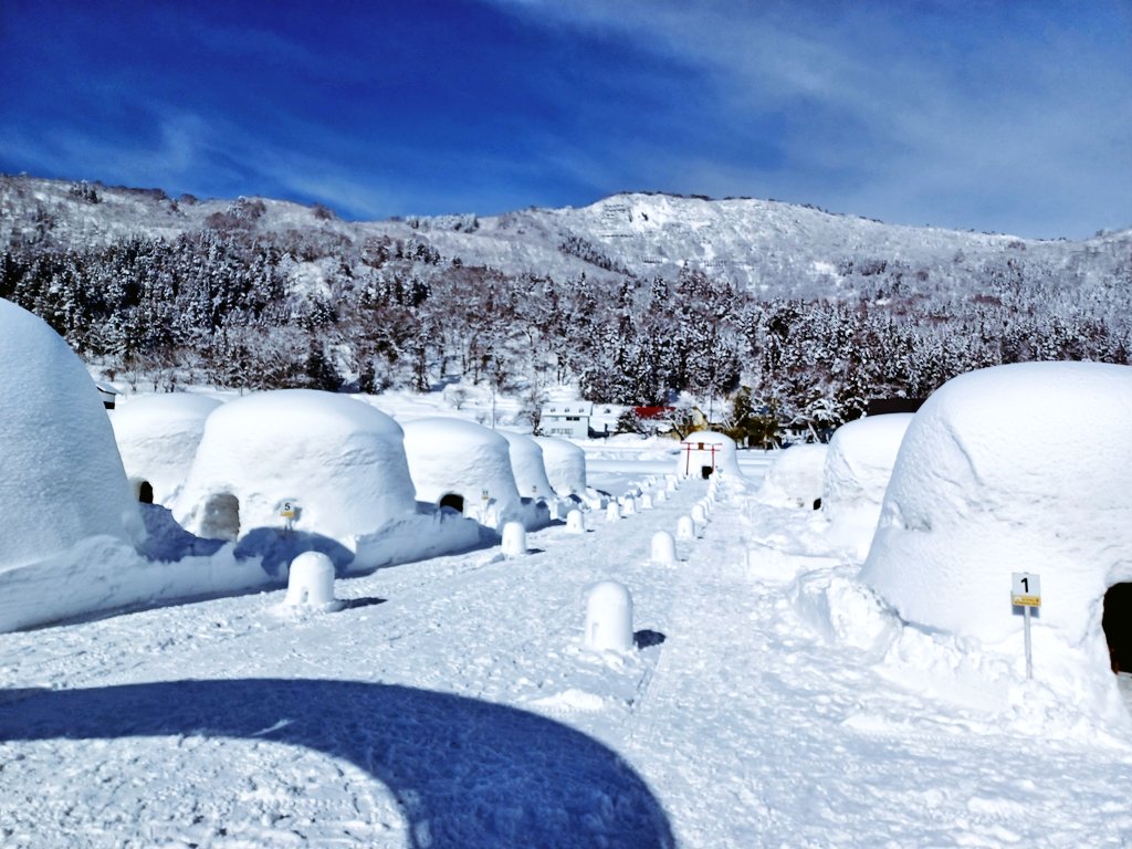 iiyama_kanko's tweet photo. 【レストランかまくら村2026】@長野県飯山市
本日より、かまくらの里OPENです⛄
今年は3/1までの開催です❄️
お越しをお待ちしております😃💕 https://t.co/RegKd9zgwo