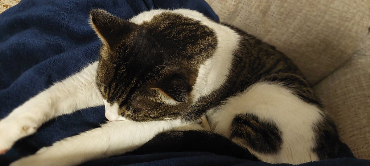 Fernando Camino tweet media