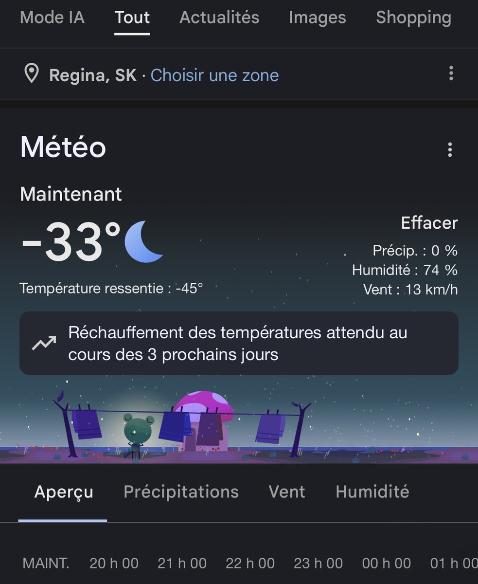 Mais c’est quoi ça 💀

#Canada #winter