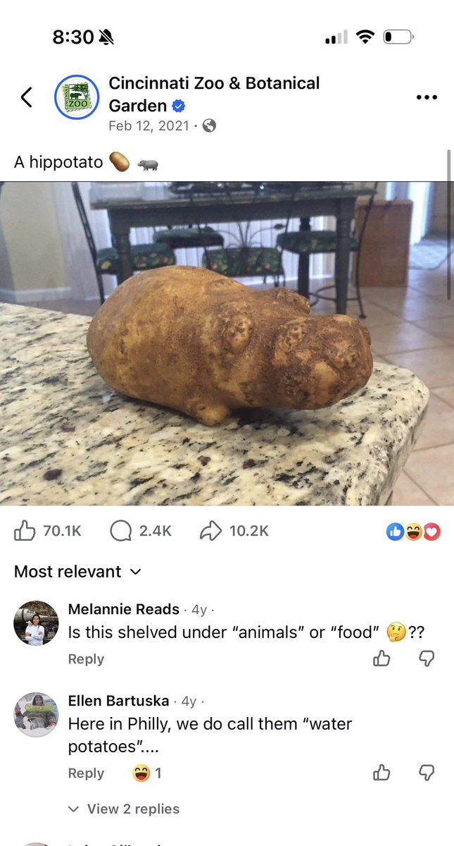zach_onchain's tweet image. Did some sleuthing. Earliest post I could find of the Hippotato was from 2021 (so it’s not ai) from the Cincinnati Zoo, the home of the viral hippo Fiona. facebook.com/share/1G5wsMSn…