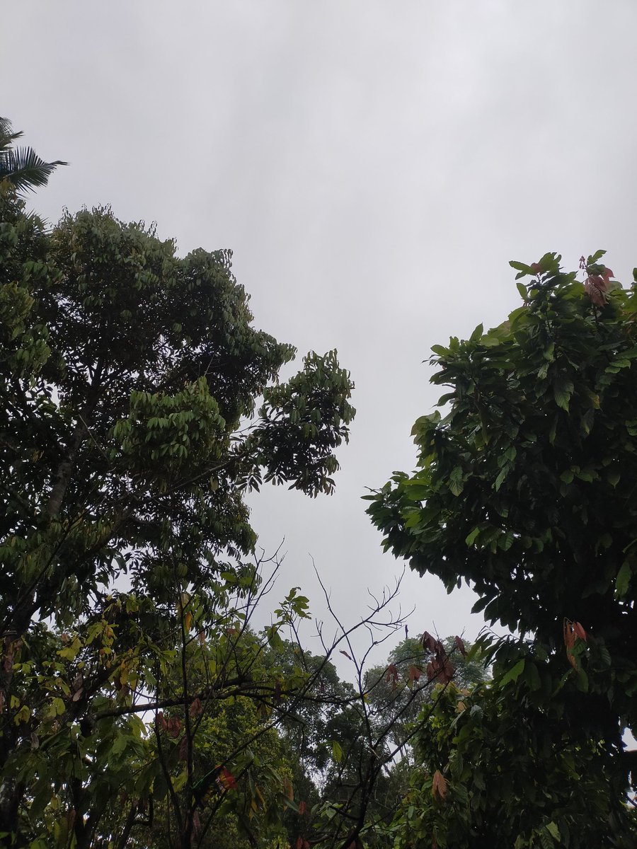 Cuacanya dingin² empuk 🥶