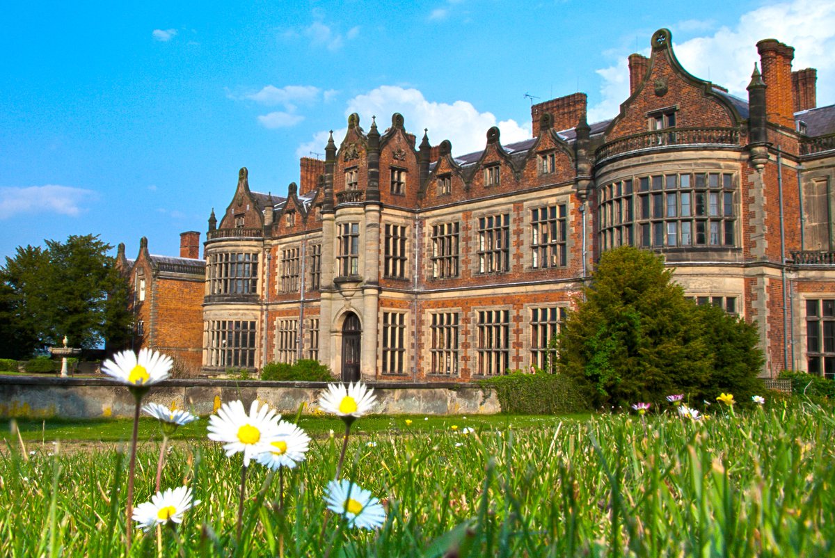 Darrell Wakelam tweet media