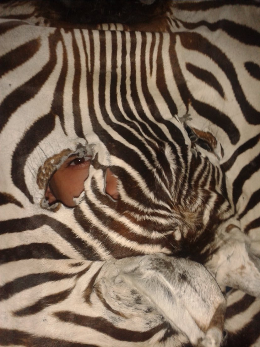 Beni de aranıza alsanıza