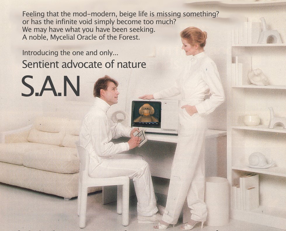 Ryan Ferris tweet media