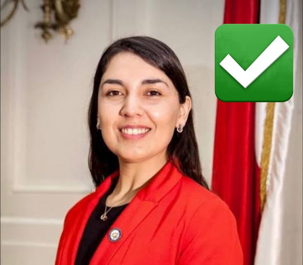 MaxLobosCL's tweet photo. Un hombre que se cree mujer y que no se corta la tula por cobarde, pero que lucha para hormonizar y cortársela a niños y jóvenes, está criticando a la nueva Ministro de la mujer. https://t.co/U4u7bVWnQ7