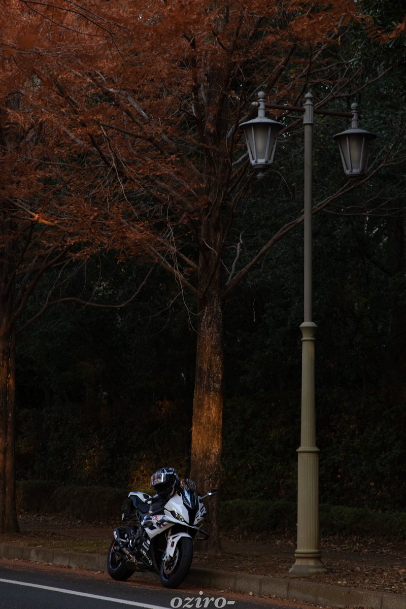 ゆうのアオーリオ🍏 (@MarinosZX4RR) / Posts / X