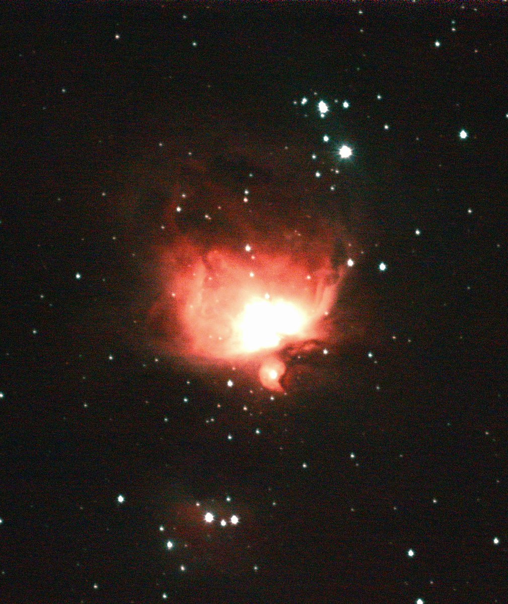 Javier Feu tweet media