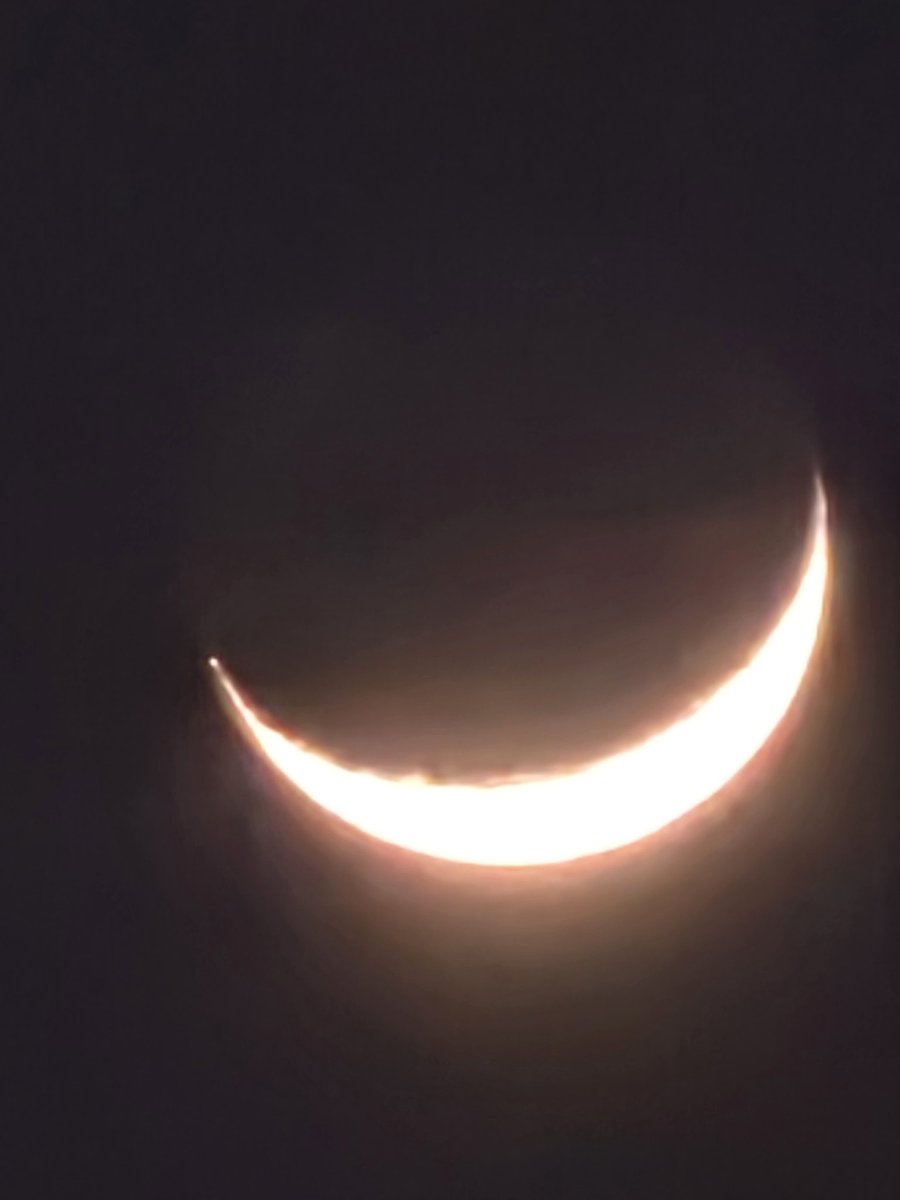 お～ちゃん|・ω・*)🐷 (@y47ouc186o45_nk) / Posts / X