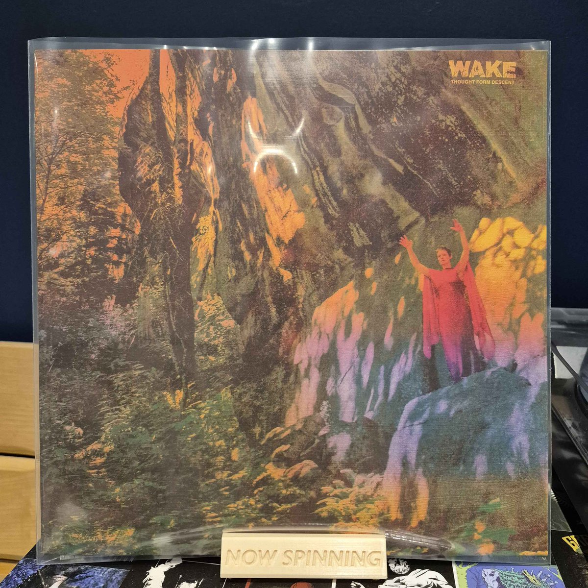 Fuzz Valley 🕉️ tweet media