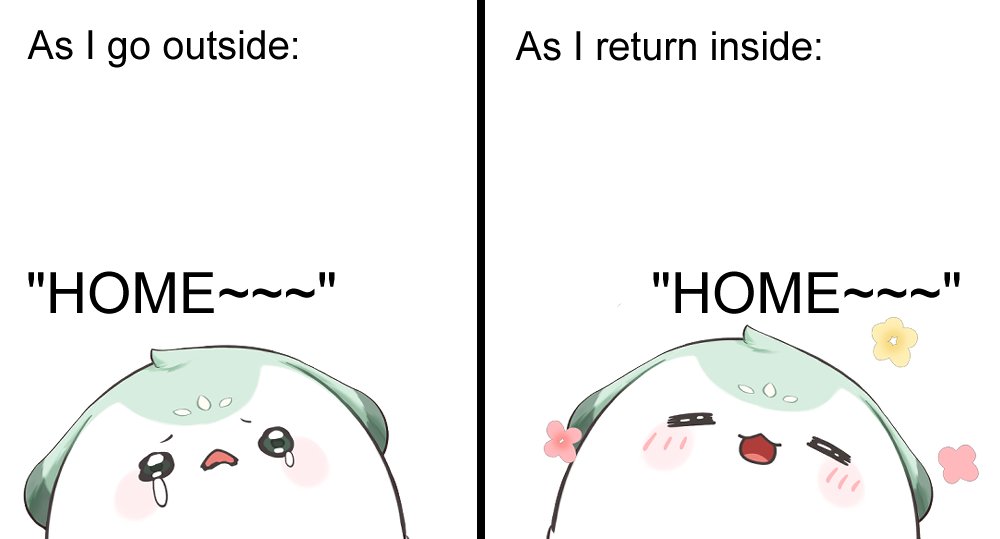 For my fellow introverts 🤝