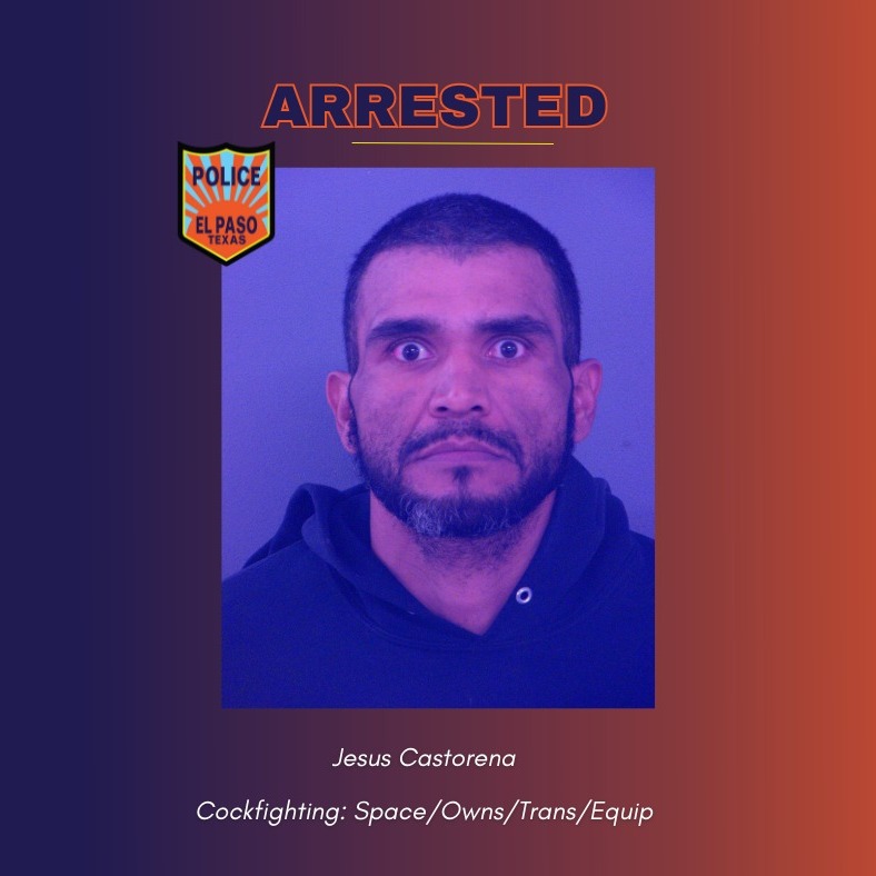 KFOX14's tweet photo. 🐓A 38-year-old man was arrested Wednesday morning after he was allegedly caught trying to cross into #ElPaso with #illegal equipment and animal medication used in #cockfights. https://t.co/v2uxvKBicy #AnimalCruelty #Crime #Arrest #Smuggling https://t.co/oYUWm61RF1