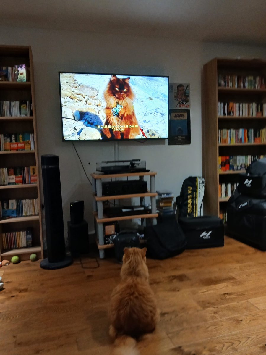 Watford1973 tweet media