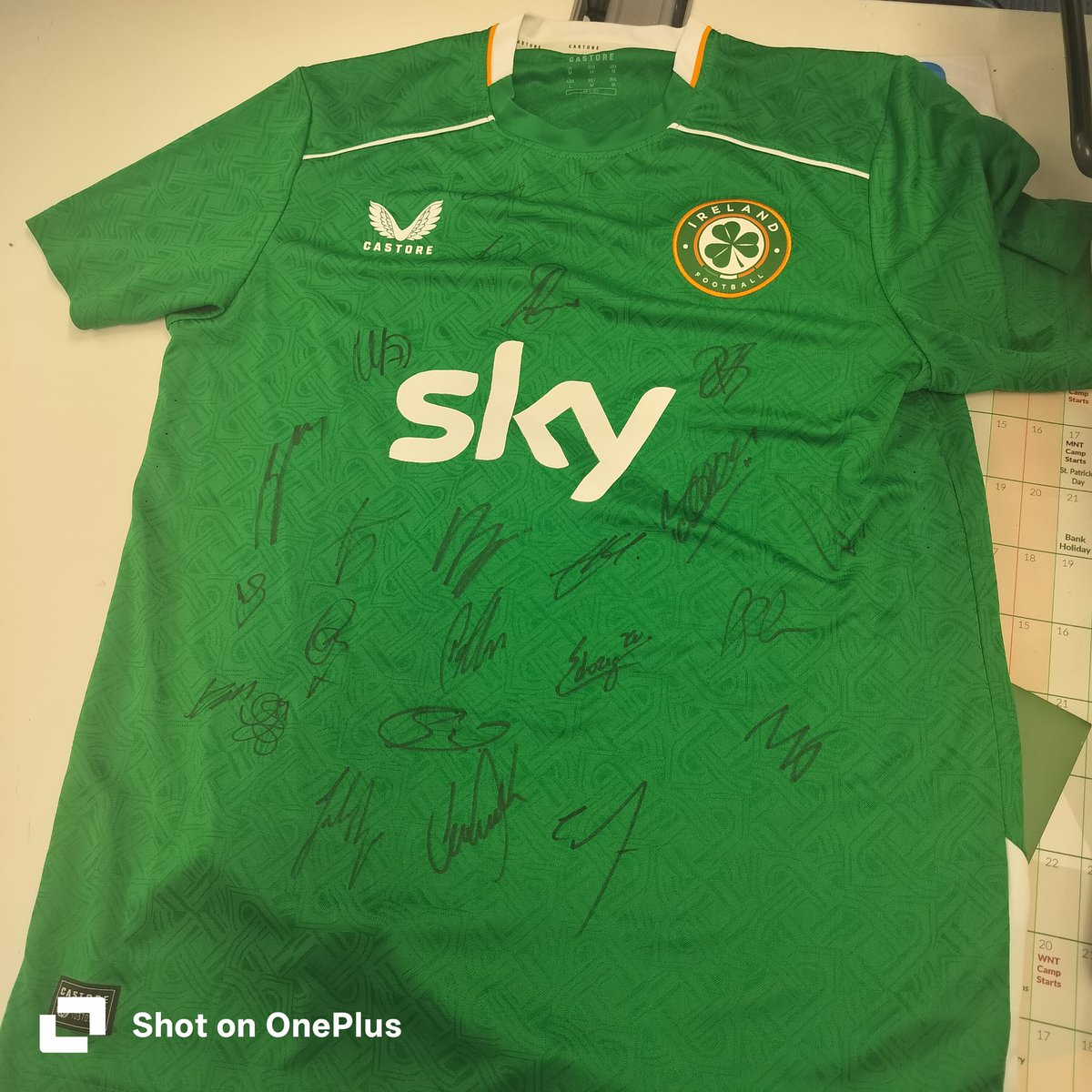 SIGNED IRELAND JERSEY from the Portugal and Hungary camp. 

We are auctioning this for a great cause - life saving  treatment for Kitty Hayes  

See link below to place your bid