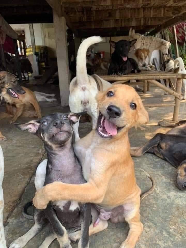 itimaliasof's tweet image. essa é uma das melhores fotos da internet