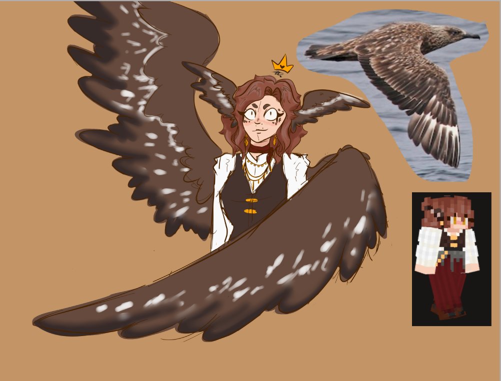 SeaOfZoe's tweet photo. With the New Dawn trailer posted, I feel like now is a good time to post character art! I haven't had alot of time to do a full body of her but we get what we get! Look at her! She looks insane and I love it. That's my Avian Pirate Woman Zoe Seao!!! https://t.co/PimyW4FqIe