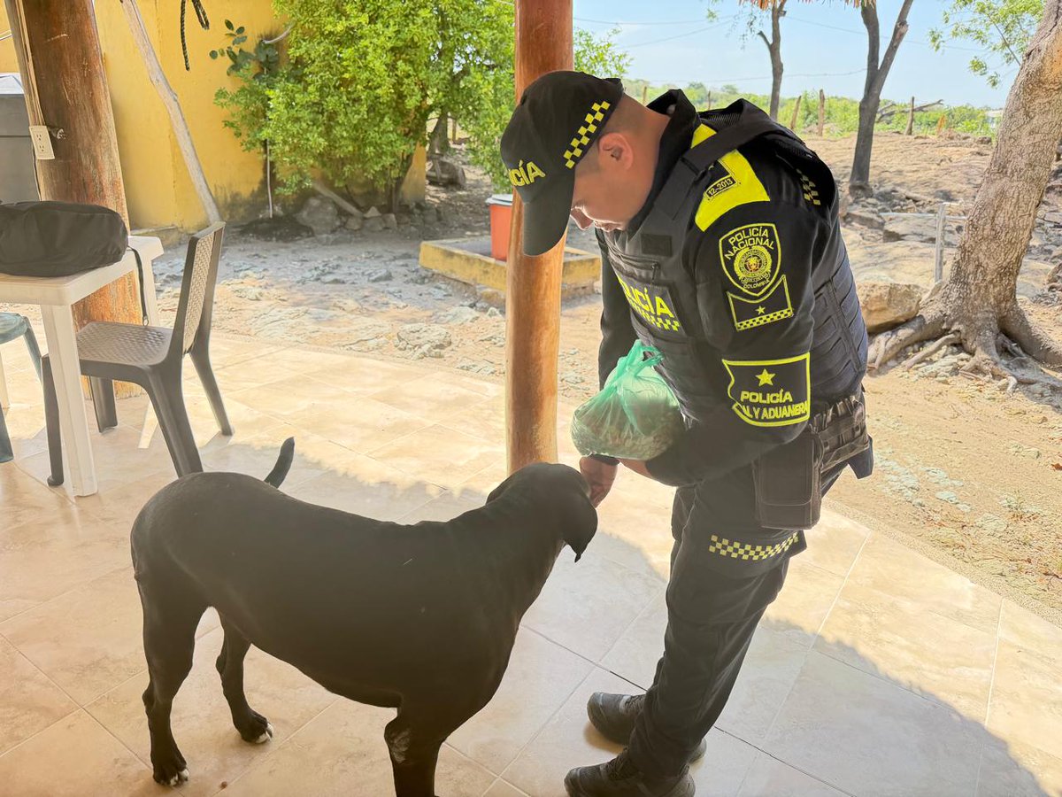 PoliciaAduanera's tweet image. Garantizar el cuidado y la protección de los animales también es nuestra labor 🐶💙. En #Valledupar alimentamos a los caninos en situación de calle, cuidando a estos peluditos que nos regalan ternura y amor 🥣🐾.