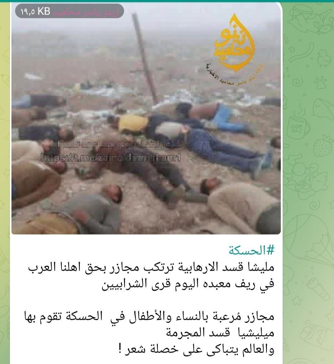 Turkey Untold tweet media