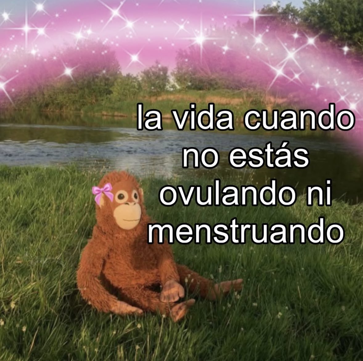 gyxwso's tweet image. 