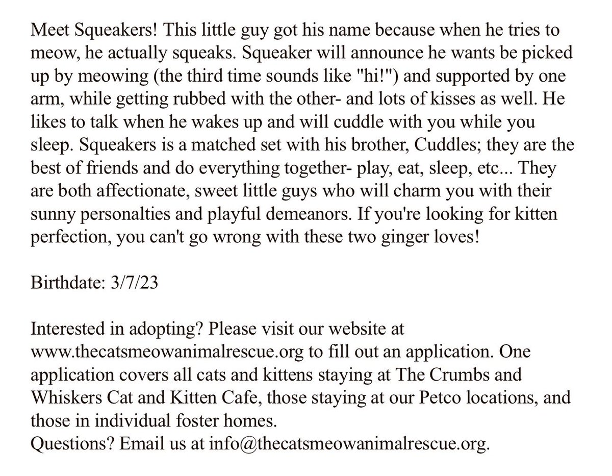 TheCatsMeowInc tweet picture