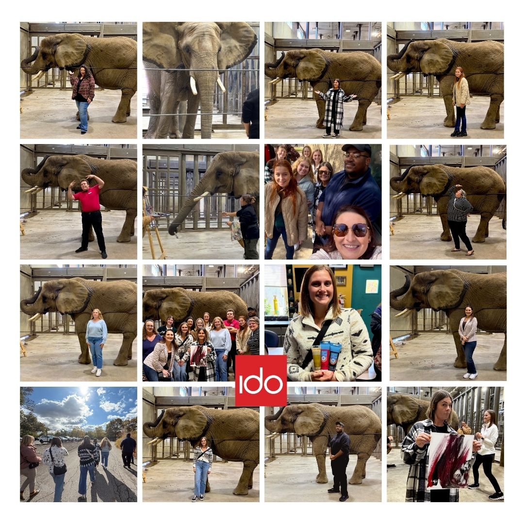 IDOincorporated's tweet photo. Throwback Thursday! #2025 Meet Tombi — the 8,000-lb artist who absolutely stole the show at our team outing. Watching Tombi paint was equal parts magical, inspiring, and unforgettable. Proof that creativity comes in all sizes… and sometimes with a trunk. #idodesign #connected https://t.co/tMbRHvcuEs