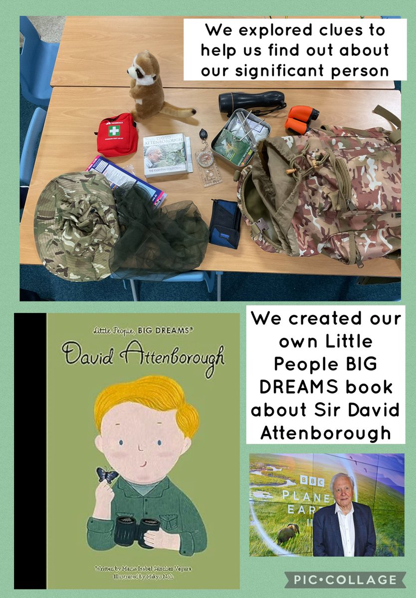 FPS_1_Dolphins tweet media