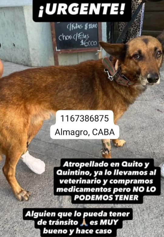 StellaMarisMar1's tweet image. Me ayudan a compartir mil gracias