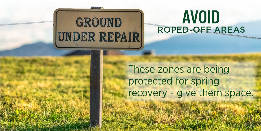 Bench Craft Company tweet media