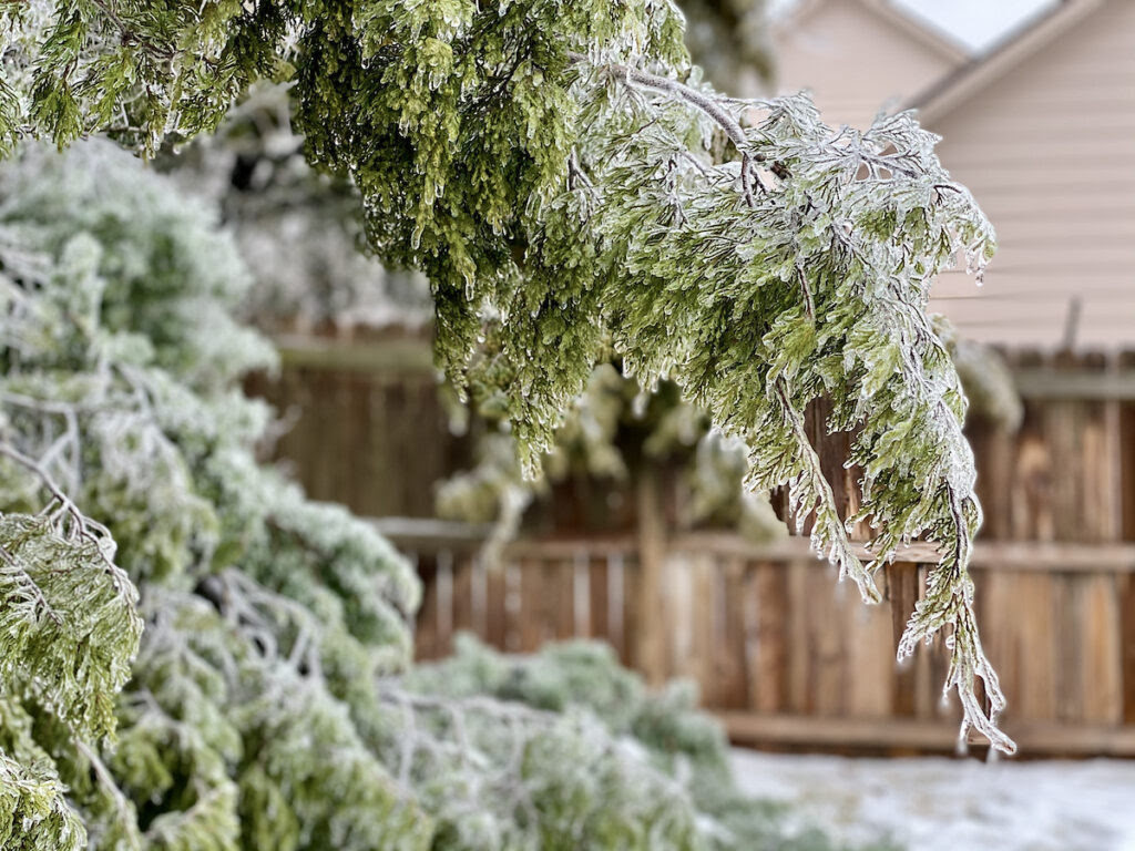 KOYNFM's tweet image. Protect Livestock, Plants, Pipes and Pets from Winter Weather...Read more here: ow.ly/ffWC50Y0TeF