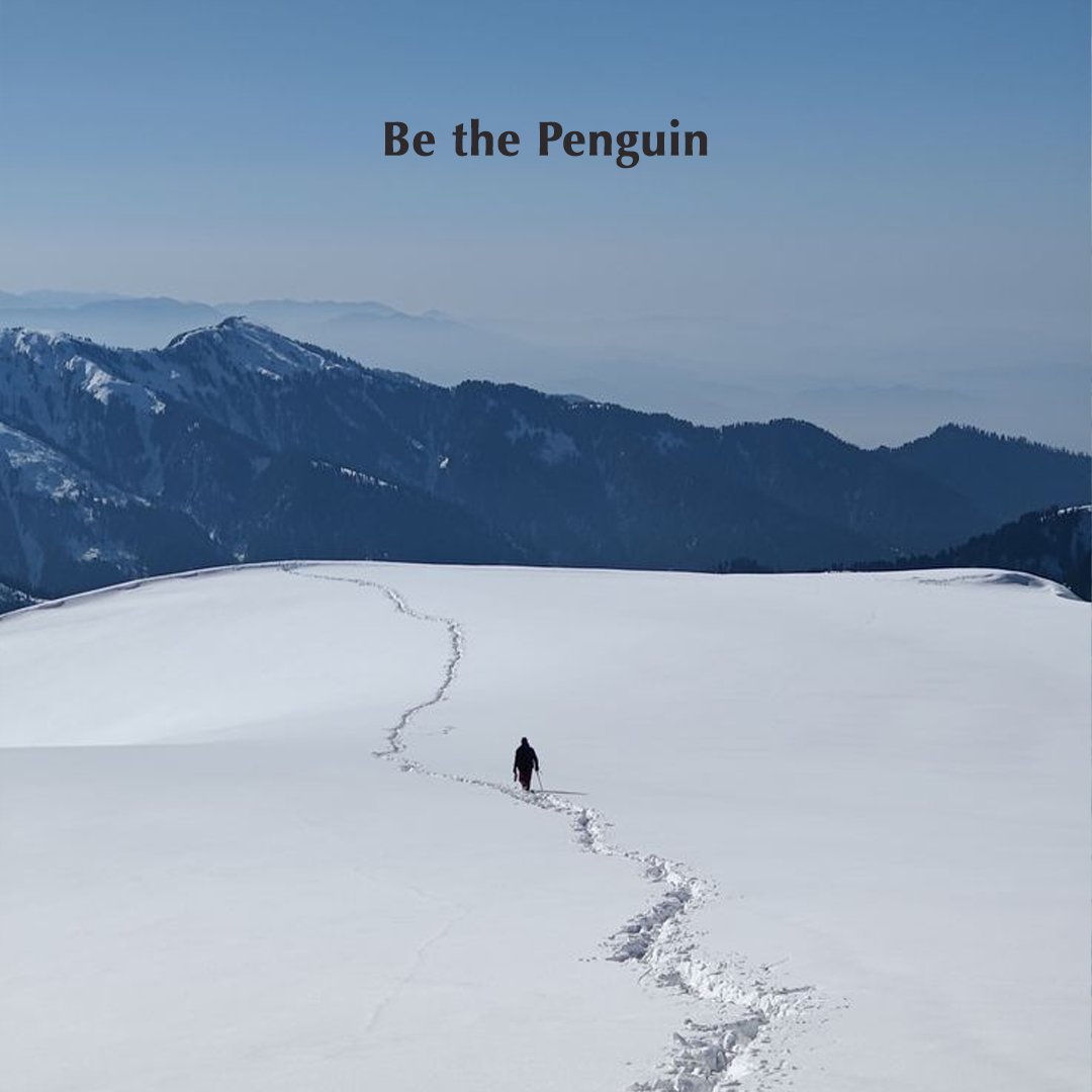 Dave 🧊 tweet media