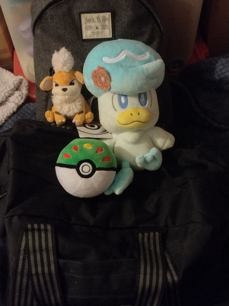 Ready for Birmingham!! With growlie, quin and YOU!!!   The friend ball represents everyone that has been with me the last 6 months.