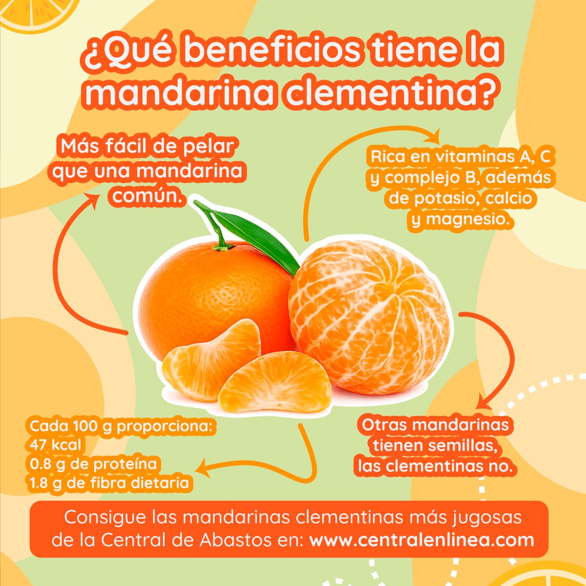 central_enlinea's tweet photo. 🍊✨ ¿Conocías estos datos de las mandarinas clementinas?✨🍊

Dulces, jugosas y de calidad premium.
En Central en línea seleccionamos las mejores mandarinas clementinas para que lleguen frescas directo a tu casa.

🛒 Pide hoy y recibe mañana.
https://t.co/gk4EYrrZHv https://t.co/Xg6jK4CKim