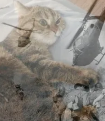 where in God's name is <a href="/The_Airmass/">Airmass</a>