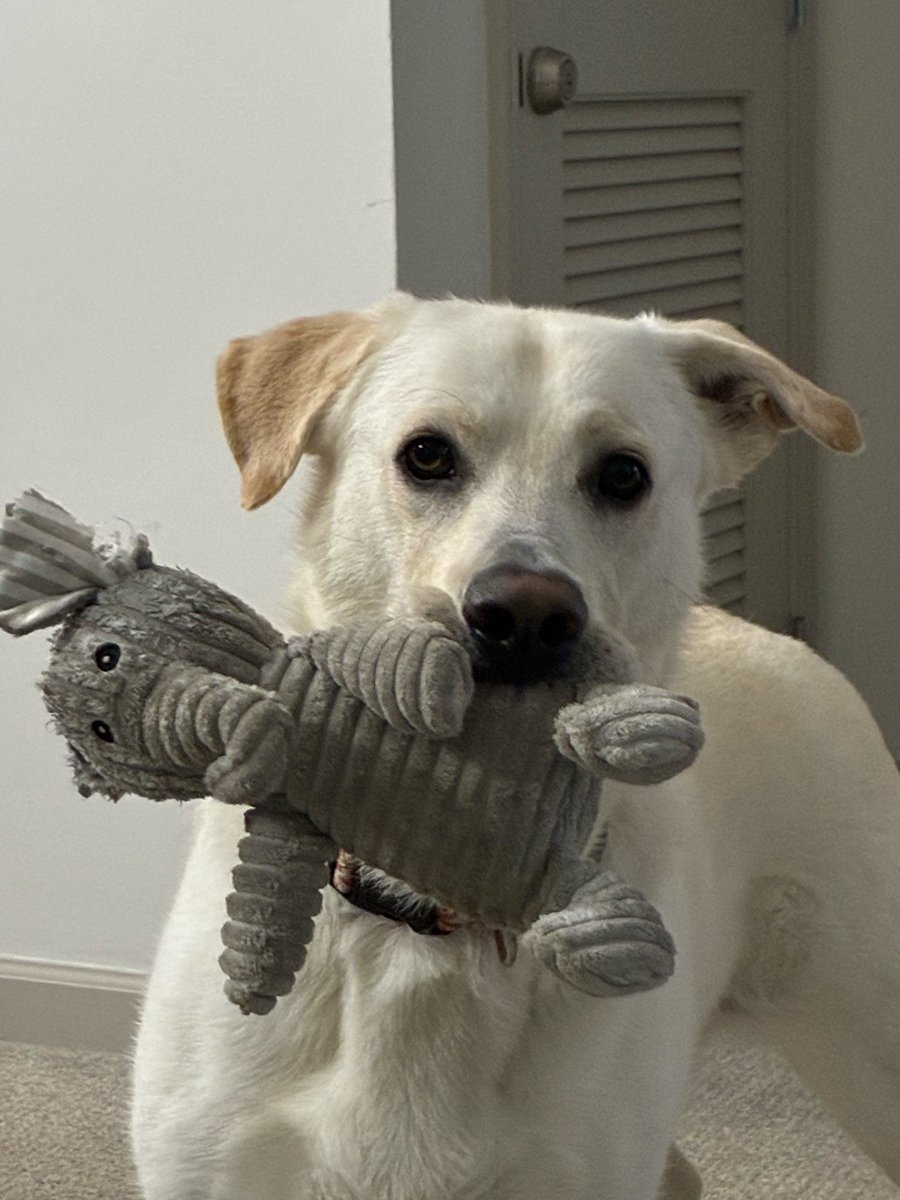 Brooke Kalman tweet media