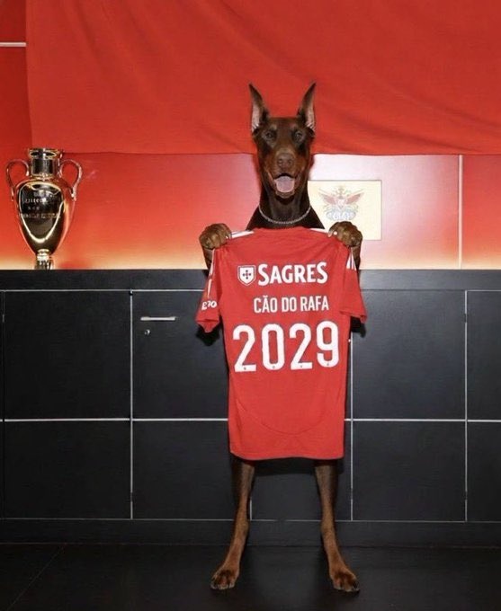 Emir🇦🇷 tweet media