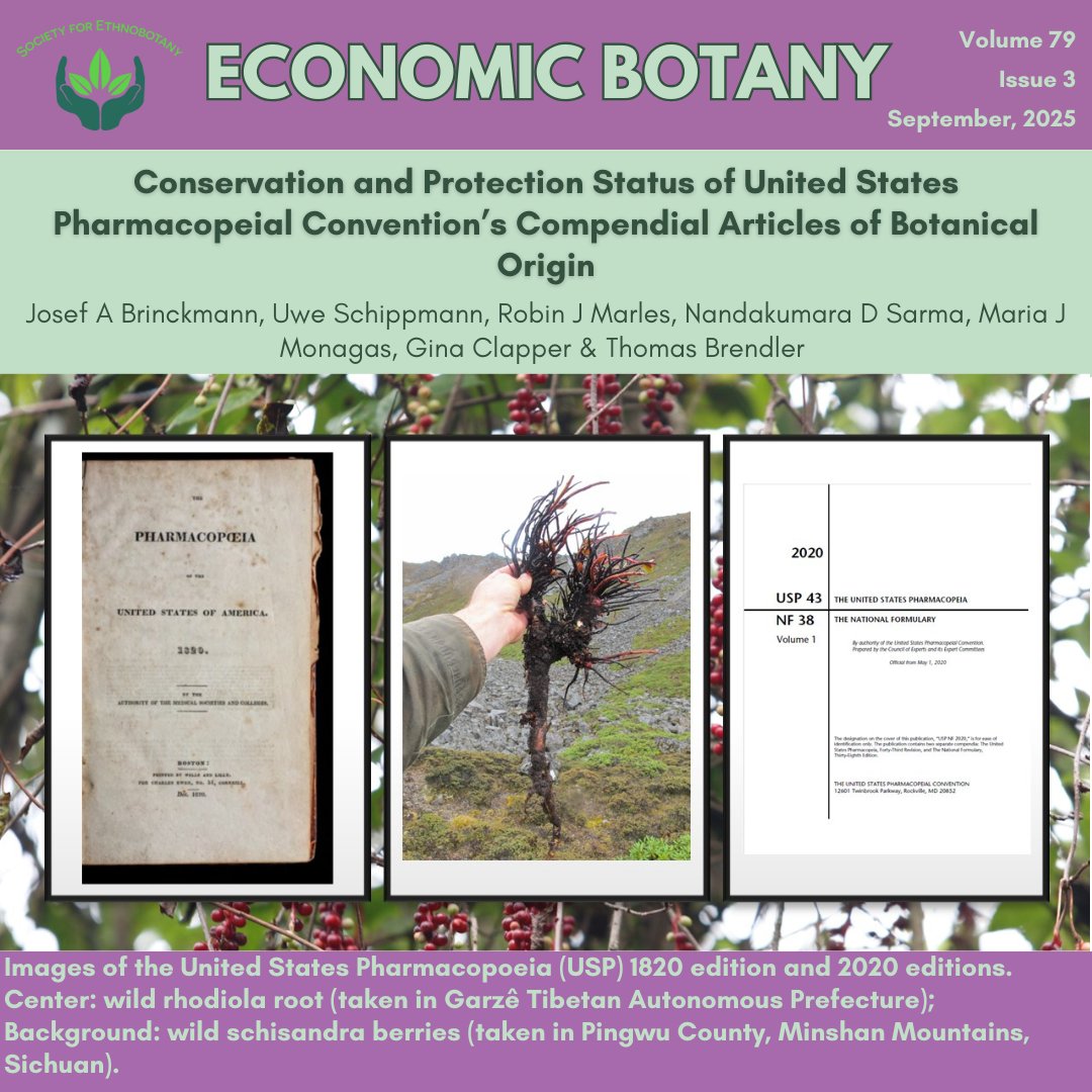 Society for Ethnobotany tweet media