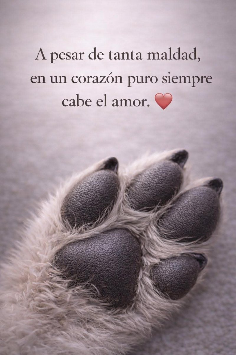Sabueson's tweet photo. https://t.co/AQ3aGlTYkH