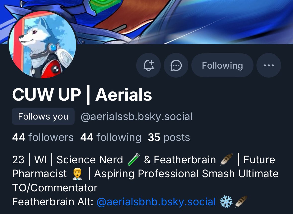 Aerials | Bird N’ Bolt ❄️⚡️ tweet media