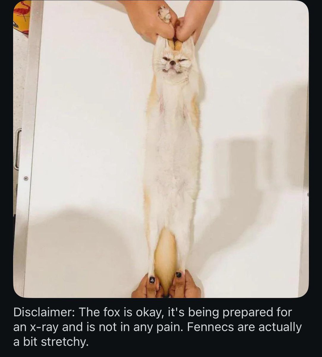 ManMilk2's tweet image. 