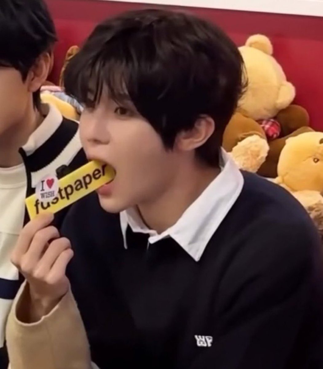 sionsbunny's tweet image. 