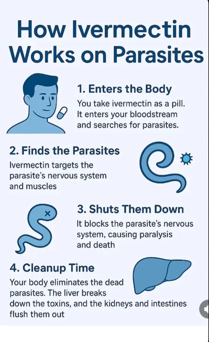 Dr_BruceAllan's tweet image. How Ivermectin works on Parasites 🦠 

#ivermectin #parasite #cancer