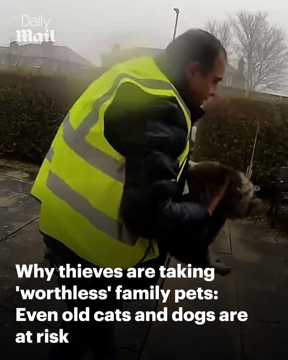 dominic dyer tweet media