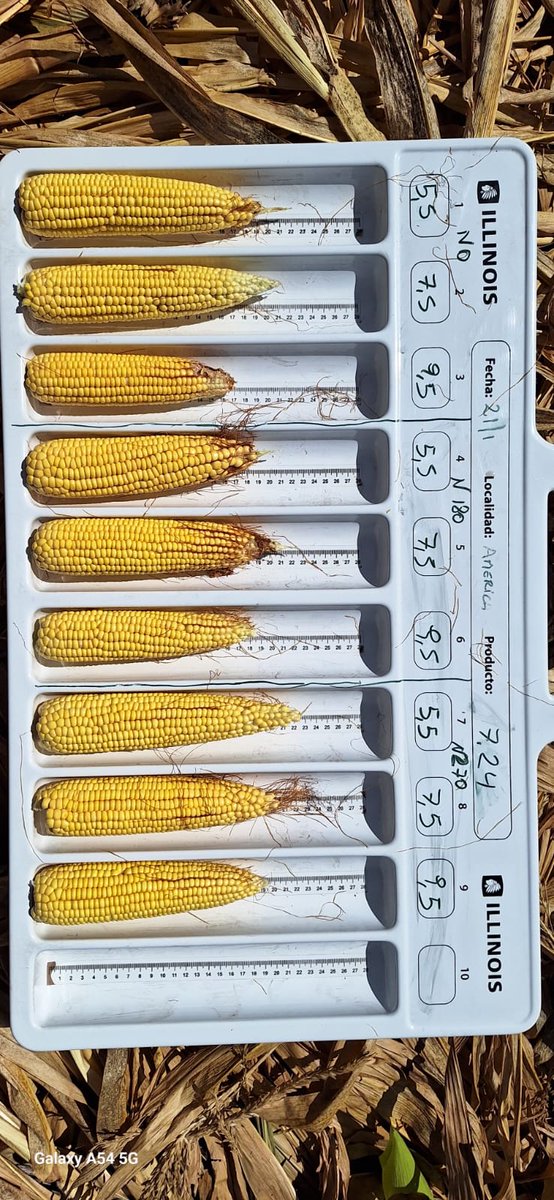 ingpele's tweet photo. #entrenamientoIllinois 🌽 
Seguimos entrenando al equipo por Rufino, América y F. Olavarría. Evaluando el portafolio, lo que viene y la respuesta de nuestros híbridos a la densidad y el nitrógeno! 🌽🚜 https://t.co/RboA5GvJKi