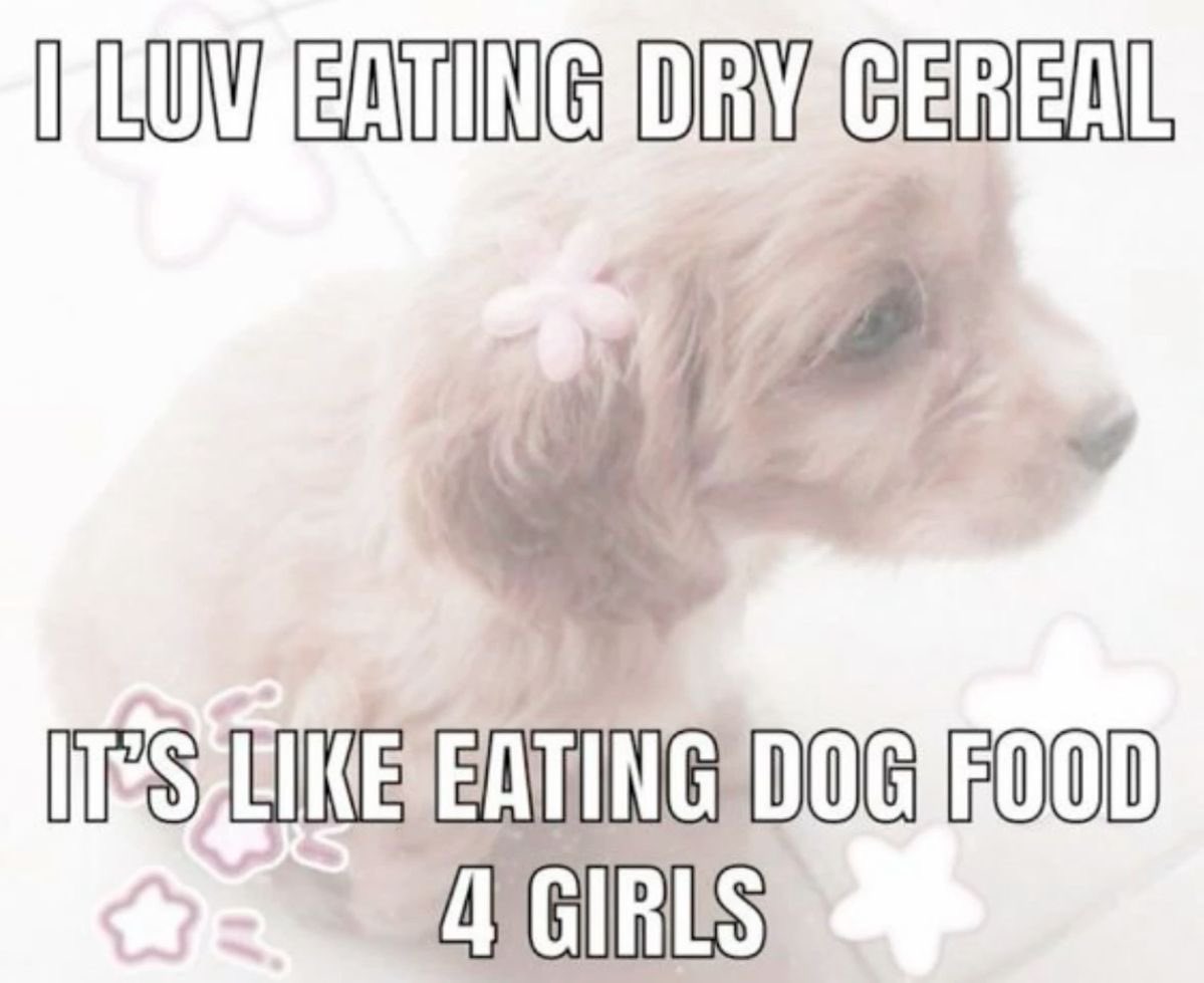 Guttergore1's tweet image. 