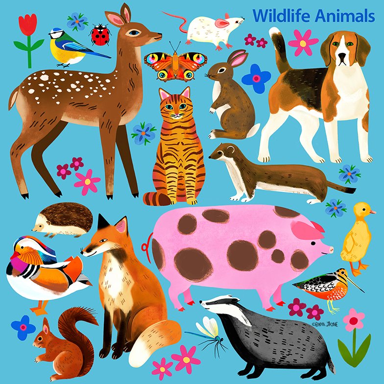 emma_j_designs's tweet photo. Excuse the lack of new work recently. I have been unwell and am currently still not 100%. There are all sorts of bugs going around at the moment. Hopefully, I will feel right as rain soon π
Meanwhile, here are some animal drawings for a client.
#animaldrawings #kidlitartist https://t.co/Vd3rjKiNaq