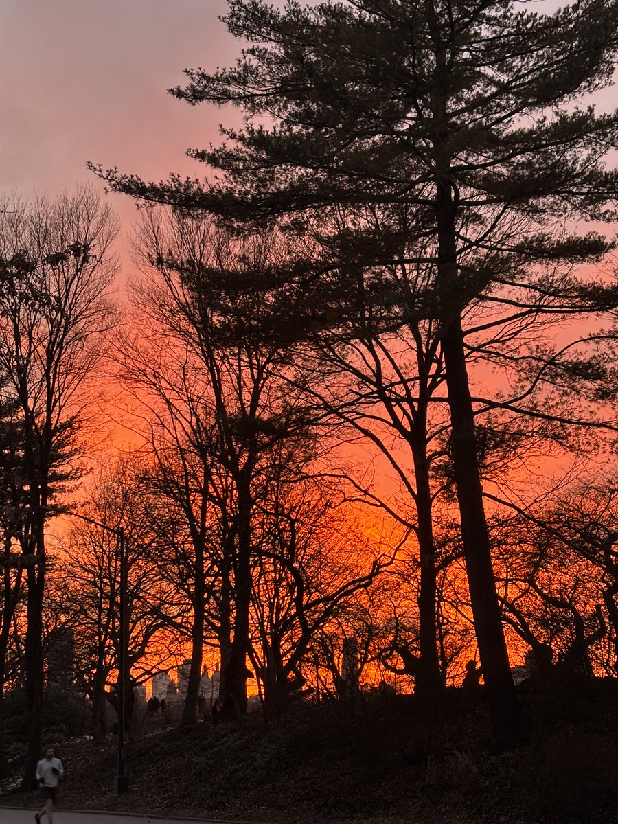 John Colapinto (@johncolapinto) on Twitter photo 