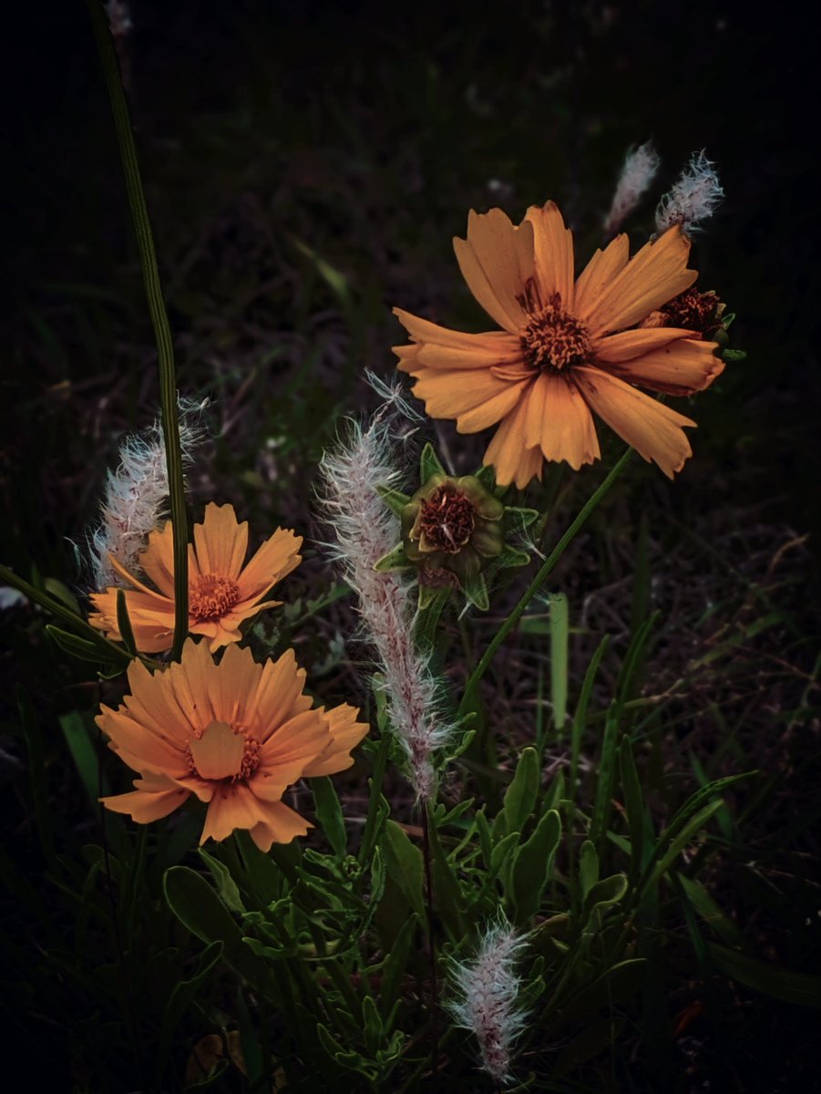 好きなものを好きだと言えるしあわせ

好きなひとに好きだと言えるしあわせ

#花テロ