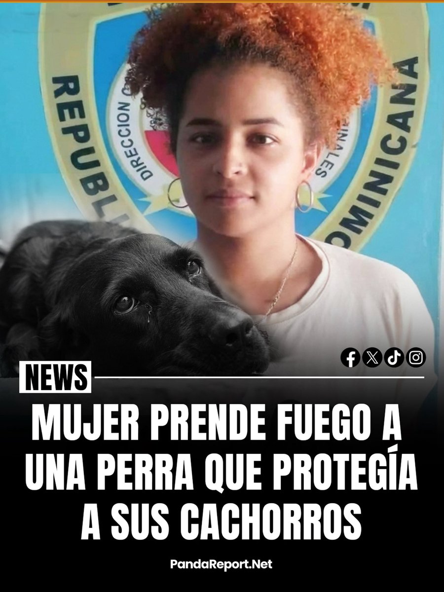 PandaReportNet's tweet image. Crueldad extrema: Una mujer es acusada de quemar a una perra que se refugiaba de la lluvia junto a sus cachorros en un edificio del sector Villa Juana, en el Distrito Nacional. El caso generó indignación y ya se le conocen medidas de coerción mientras avanza el proceso judicial.…
