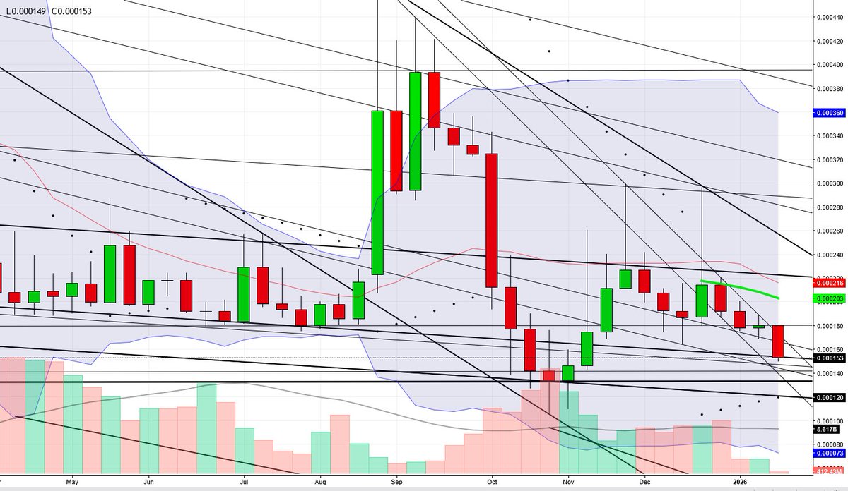 BRUCE WAYNE (@wolfstreet007) / Posts / X