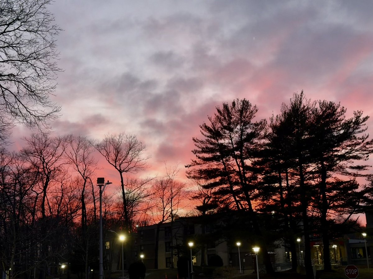 ShresthaLab's tweet image. Gorgeous pink sky, moments ago in Stony Brook!