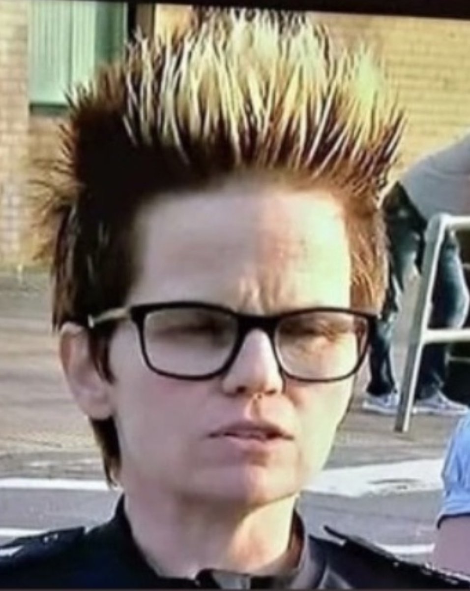 Here’s a photo of Ms Swann when she was interviewed on TV, a few years ago.
I maintain that as a senior police woman, she was improperly dressed as she was not wearing her hat.
Call me old fashioned but how  can she command respect from the general public and her junior ranks